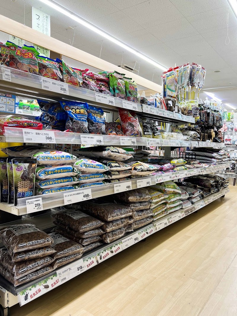 ジョイフル本田 市原店 ペットセンター