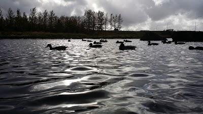 Photos of K&oacute;pavogsv&ouml;llur