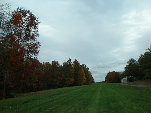 Echols Field - Visual
