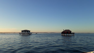 Photo n°6 de Arcachon Découverte à Arcachon (Agence événementielle)