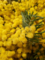 Photo n°14 de La bière de Groix à ILE DE GROIX (Brasserie)