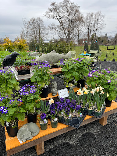 Puget Island Gardens - Thumbnail