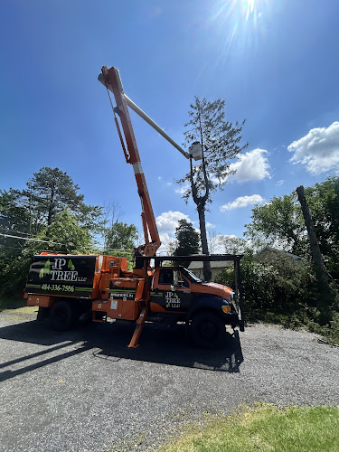 JP TREE LLC