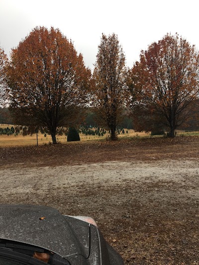 Photos of Merry Christmas Tree Farm