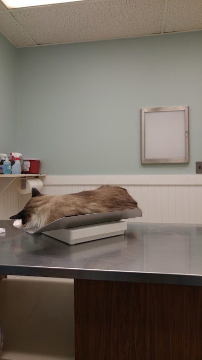 Photos of Greylock Animal Hospital