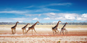 Photo n°11 de FITOUR Voyages à Saint-Céré (Agence de voyages)