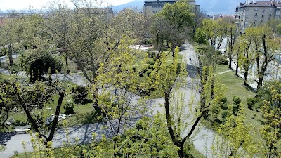 Photos of garden "Algeria"