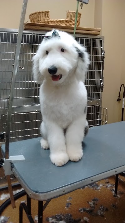 Photos of Ballantyne Veterinary Clinic
