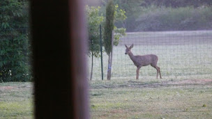 Photo n°4 de Le Domaine de Villecourte à Coings (Chambre d'hôtes)