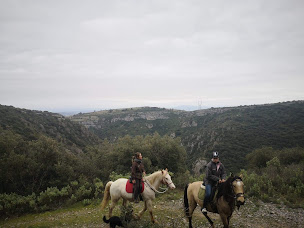 Photo n°10 de ECURIE DES GARRIGUES à La Livinière (Centre équestre)