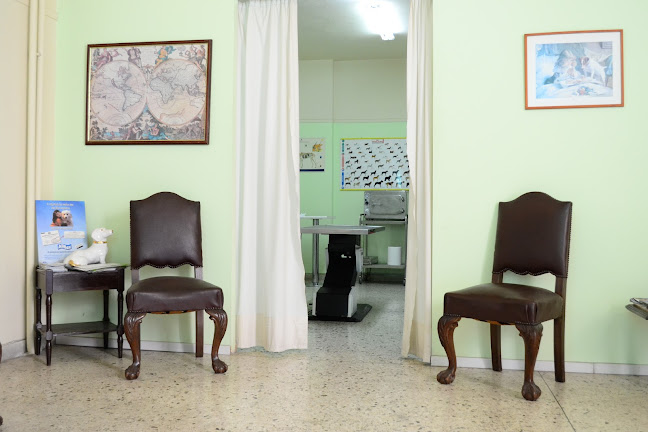 Ιατρείο Μικρών Ζώων - Κτηνιατρείο - Καραβέλλας Βαγγέλης