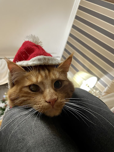 Specjalistyczna Przychodnia Weterynaryjna INTERWET