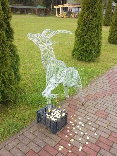 Photos of Ip Biratko