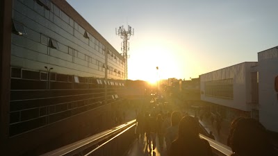 Photos of Rosetta, Centro Empresarial