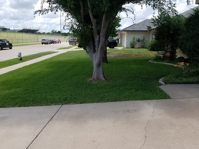 The Lawn Dude.LLC