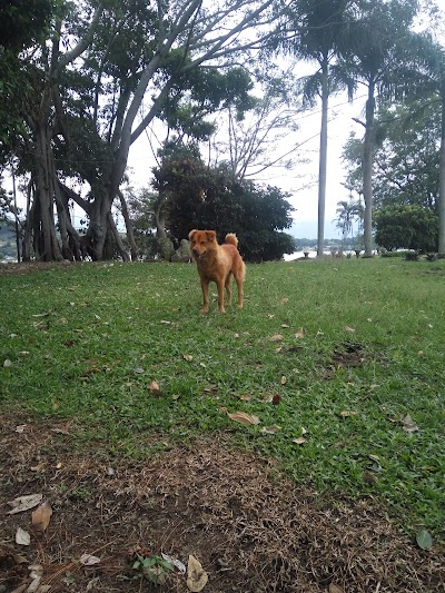 Photos of Pulau Malau