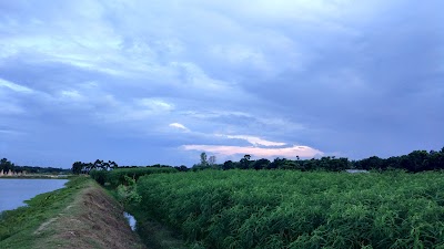 Photos of Anando Bazar, Varoimary