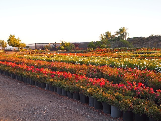 Waterwise Botanicals