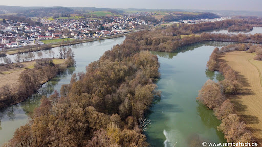 Regnitzmündung