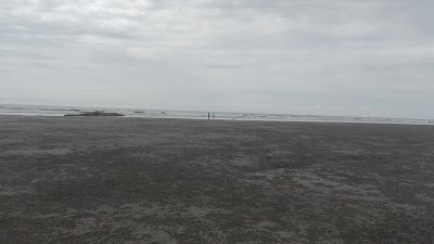 Photos of Pichos Bar