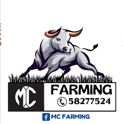 MC FARMING & AGRI CO LTD