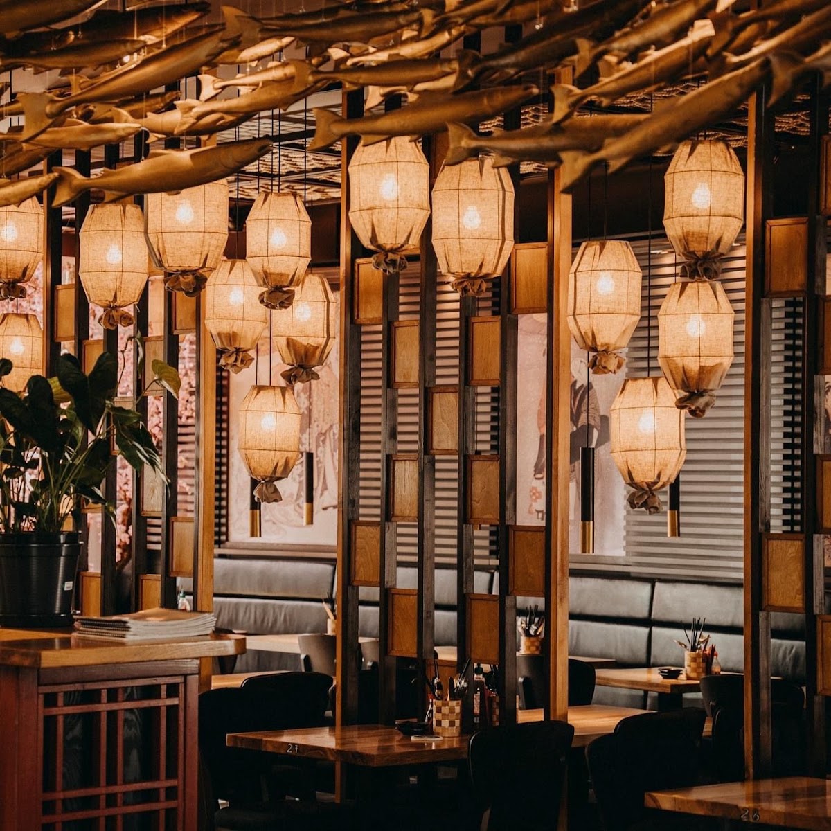 Saikyo — photo 6