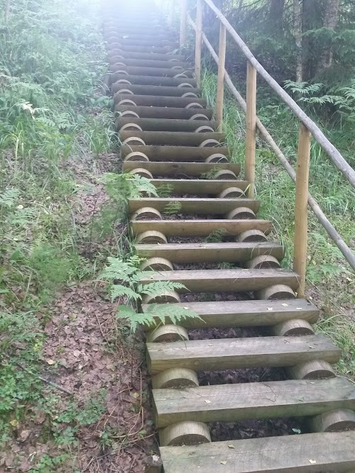 RMK Venemäe telkimisala