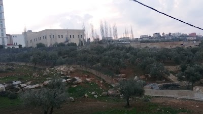 Photos of Honey factory