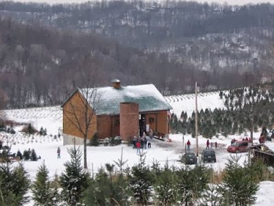 Photos of Grupp's Christmas Tree Farm