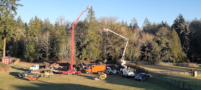 Scott's Tree Service, Inc