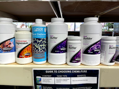 The Fish Guys by null