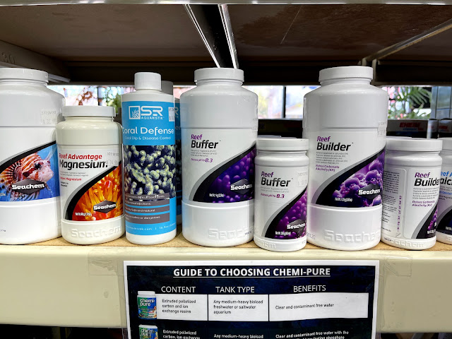 The Fish Guys by null