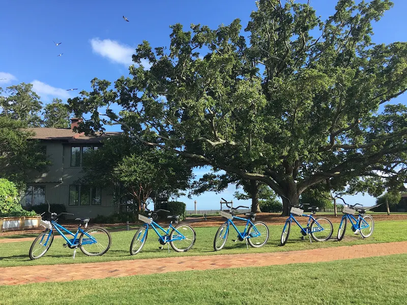 Fairhope Bike Rentals photo