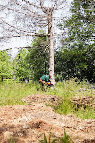 Jericho Tree Services