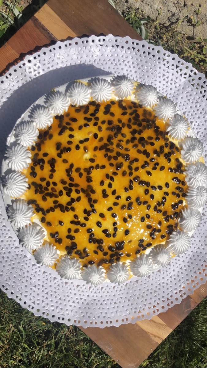 Leguminosa — photo 14