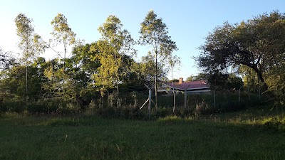 Photos of Nzola Farm
