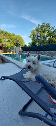 Photo n°13 de Le Relais de la Blanquette à Orgnac-l'Aven (Maison de vacances)