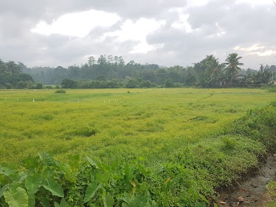 Photos of Hotel Laksiri