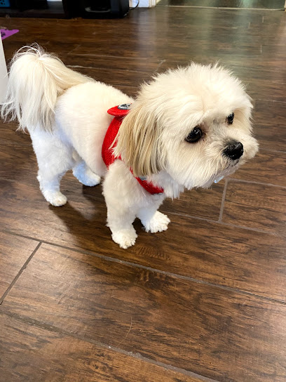 Waggin'Tails by Dinia Von