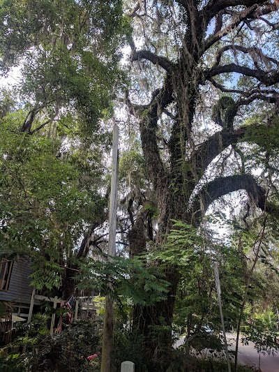 Micanopy Trading Outpost