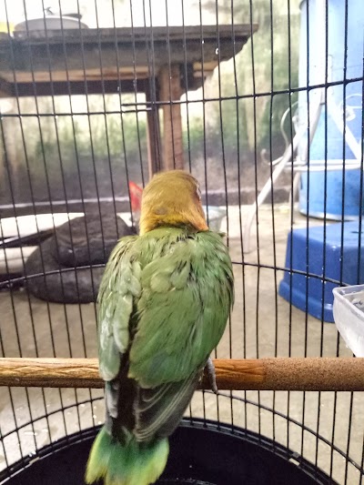 Photos of Kios Burung Khen