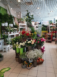 Photo n°16 de Atelier Floral à Belfort (Fleuriste)