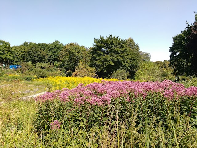 Westpark, Japanischer Garten