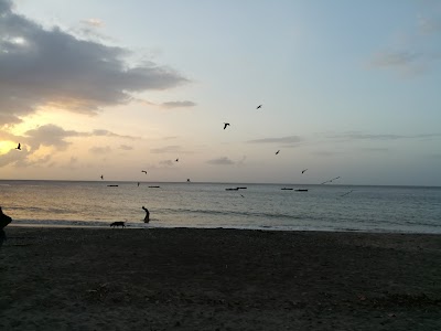 Photos of Duquesne Bay