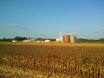 SCEA du Trounquet à Sore