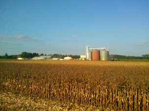 Photo n°1 de SCEA du Trounquet à Sore (Ferme)