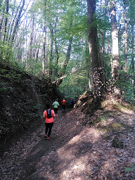 Photo n°6 de Plaisir de Courir - Loire sur Rhône à Loire-sur-Rhône (Club de sport)