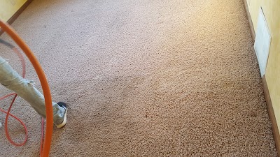 Carpet Care