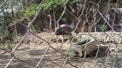 zoo