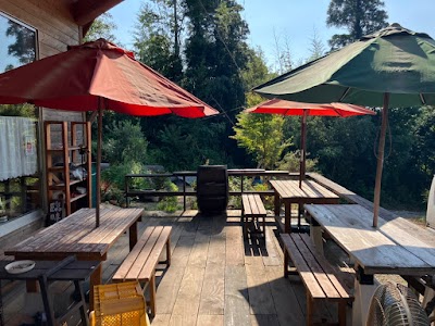 たんぽぽ(農園イタリアン)